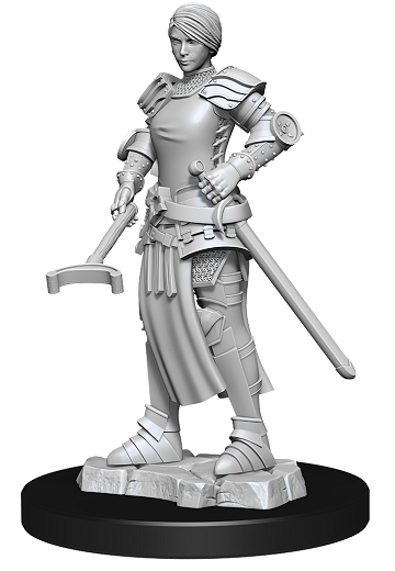 WizKids Deep Cuts Unpainted Miniatures: Castle: Kingdom Retainers